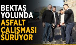 Bektaş yolunda asfalt çalışması sürüyor