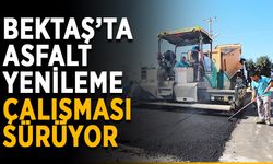 Bektaş’ta asfalt yenileme çalışması sürüyor