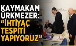 Kaymakam Ürkmezer: “İhtiyaç tespiti yapıyoruz”