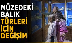 Müzedeki balık türlerinde değişim yapılacak
