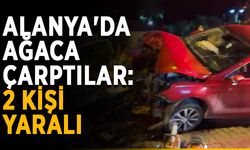 Alanya'da ağaca çarptılar: 2 kişi yaralı