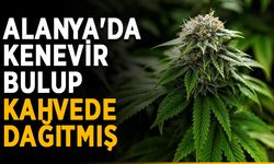 Alanya'da kenevir bulup kahvede dağıtmış