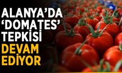 Alanya’da ‘domates’ tepkisi devam ediyor