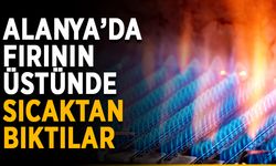 Alanya’da fırının üstünde sıcaktan bıktılar