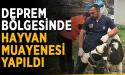 Deprem bölgesinde hayvan muayenesi yapıldı