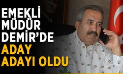 Emekli müdür Demir’de aday adayı oldu