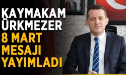 Kaymakam Fatih Ürkmezer'den 8 Mart mesajı