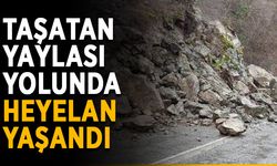 Taşatan Yaylası yolunda heyelan yaşandı