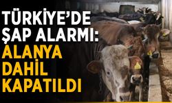Türkiye’de şap alarmı: Alanya dahil kapatıldı