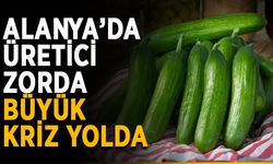Alanya’da üretici zorda, büyük kriz yolda