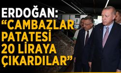 Erdoğan: “Ahlaksızlar patatesi 20 liraya çıkardılar”