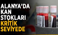 Alanya’da kan stokları kritik seviyede