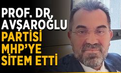 Prof. Dr. Avşaroğlu, partisi MHP’ye sitem etti