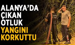 Alanya’da çıkan otluk yangını korkuttu
