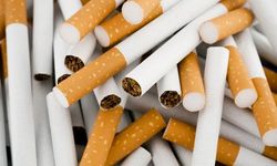 Alanya’da 33 bin TL’lik kaçak sigara ele geçirildi