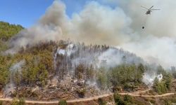 Alanya Dim Barajı ormanlarında yangın başladı