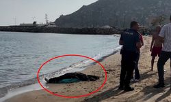 Alanya Halk Plajı’nda ceset paniği yaşandı