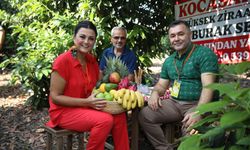Alanya’da Tropikal Meyve Festivali meyve hasadı ile başladı