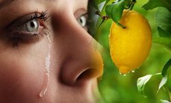 ‘Mayer’ piyasayı öldürdü! Alanya’da limon ağlatıyor