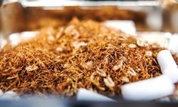 Alanya’da 4 ton kaçak tütün ele geçirildi
