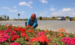 Alanya Belediyesi, kenti çiçek bahçesine dönüştürüyor