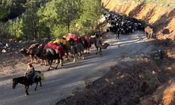 Alanya’da Yörükler yaylalara göç ediyor