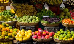 Alanya, Türkiye'nin tropikal meyve cenneti oldu