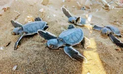 Alanya’dan gidenler, çeyrek asır sonra geri gelecek