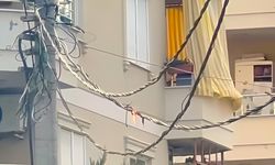 Elektrik telleri eridi! Alanya’da bu sıcağa kim dayanabilir?