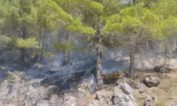 Vatandaş korku içinde! Alanya’nın yaylaları alevlere teslim