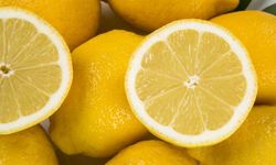 Alanya’da vatandaş limonun tadını unuttu