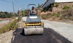 Alanya kırsalında çalışmalar sürüyor