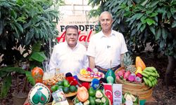 Festival başladı: İki başkan Alanya’da mango hasat etti