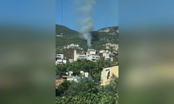 Alanya'da orman yangını kontrol altına alındı