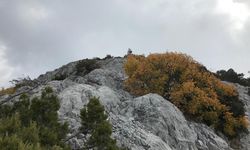 Alanya'da bir anlık dikkatsizlik sonu olacaktı