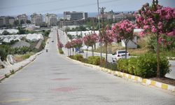 Alanya’da işgalden bıkan muhtar şikayetçi olacak