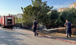 Alanya’da otluk alanda yangın paniği