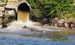 Alanya'da çevre sakinleri alarma geçti