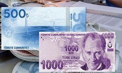 500 ve 1000'lik yeni banknotlarda kim olacak?