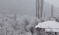 Burası Alanya’nın mahallesi, manzara inanılmaz