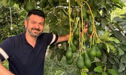 Toksöz’den Toptancı Hal eleştirisi, AK Parti’den sert yanıt