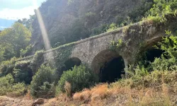 Alanya’da içler acısı halde, vatandaş tepkili
