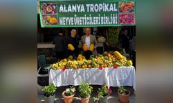 Avokado üretiminde Alanya lider ama hedeflerden uzak