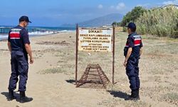 Alanya’da jandarmadan caretta caretta kontrolü