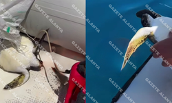 Alanya’da o söz gerçek oldu! İyilik yapıp denize attılar