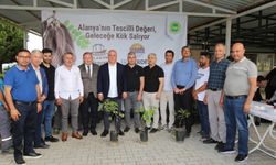 ALTSO keçiboynuzunun tescilini aldı, 3 bin fidan dağıttı