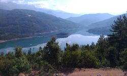Alanya’nın gözdesi Dim Çayı’nda kirlilik alarmı
