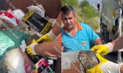 Alanya’da bu nasıl vicdansızlık! Bir tanesi daha çöpten kurtarıldı