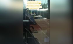 Alanya'da turist: "Merhaba", şoför: "Merhabanın a*ına koyayım"
