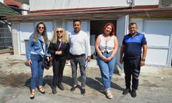 Sezon boyu sürecek! Alanya’da büyük titizlikle yürütülüyor